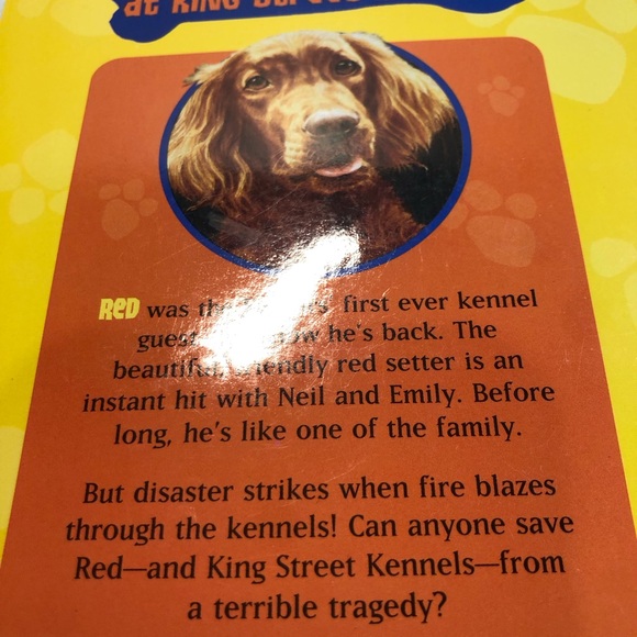 Scholastic junior Pet Novels Cats and Dogs Lot of 5 Puppy Place Animal Ark - Picture 5 of 11